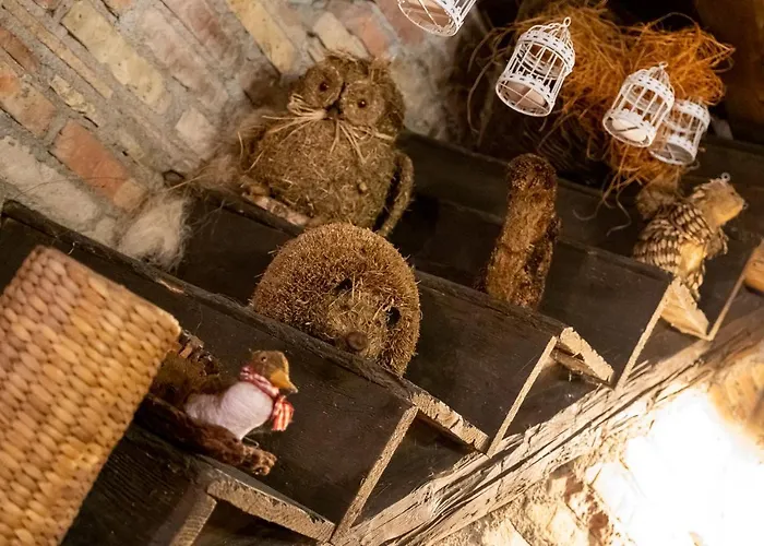 Hotel Principato Di Ariis 3 Stelle Only Rivignano